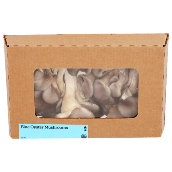 Smallhold Organic Blue Oyster Mushrooms