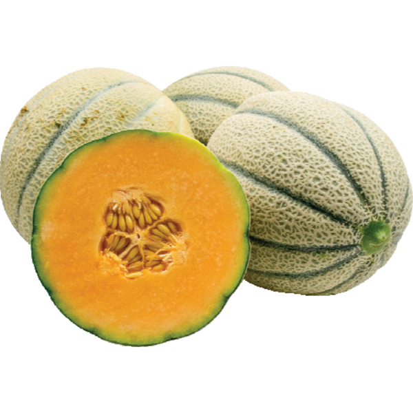 Tuscan Melon