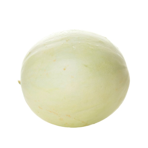 Honeydew Melon