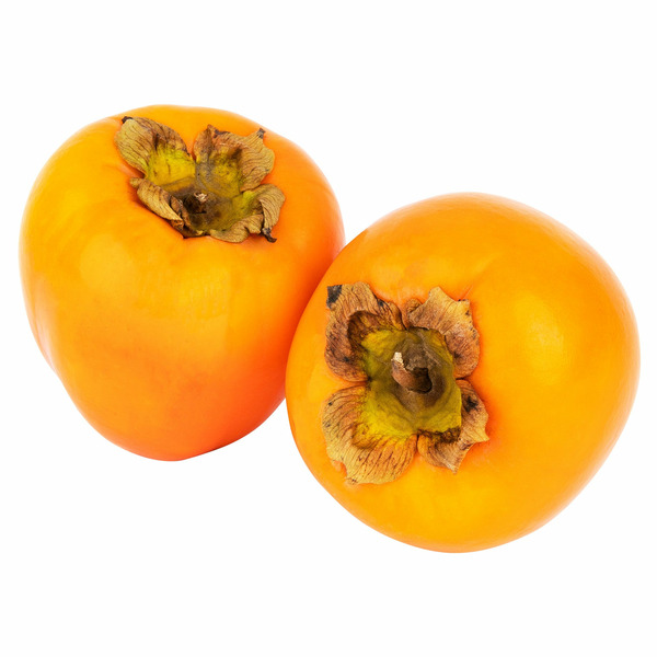 Persimmon Bag 4.4 lb