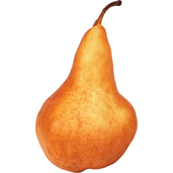 Organic Bosc Pear