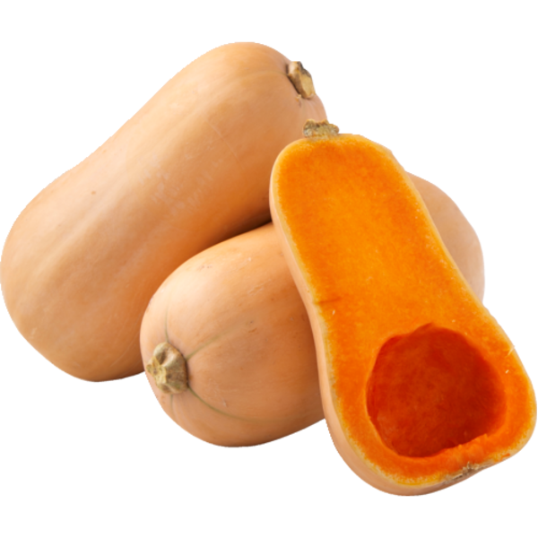 Organic Butternut Squash