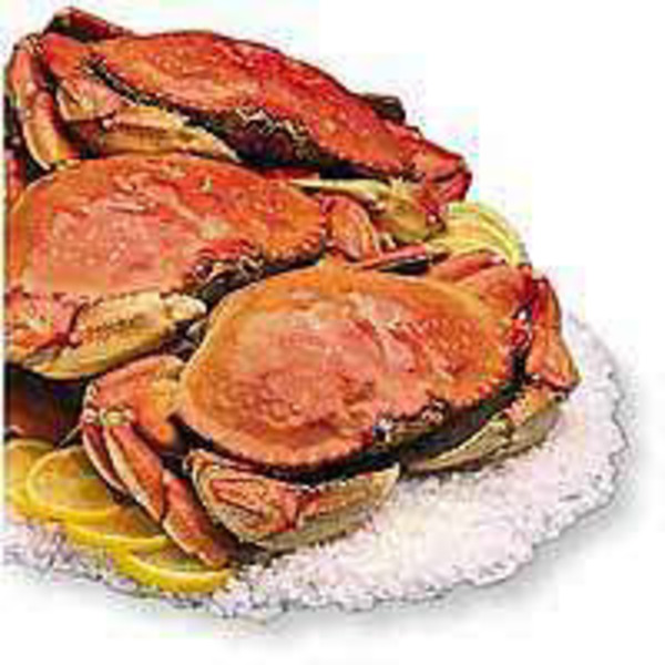 Whole Fresh Cooked Dungeness Crab