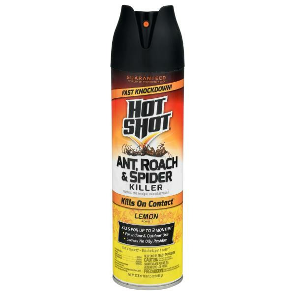 Hot Shot Ant, Roach & Spider Killer, Lemon Scent Same-Day Delivery or ...