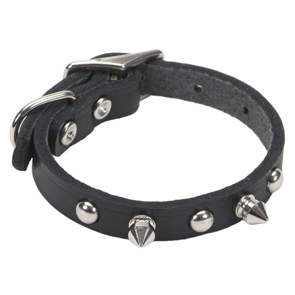 Circle T Spiked Leather Dog Collar