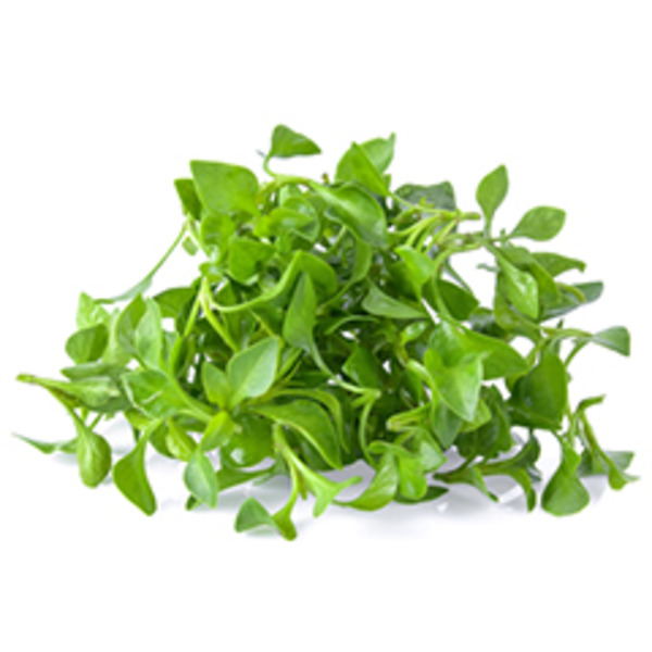 Watercress  Microgreens