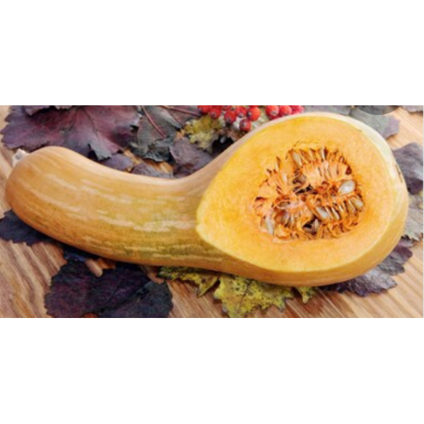 Butternut Squash Ash - 5 lb