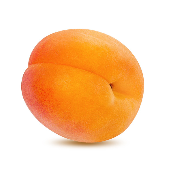 Large Apricots