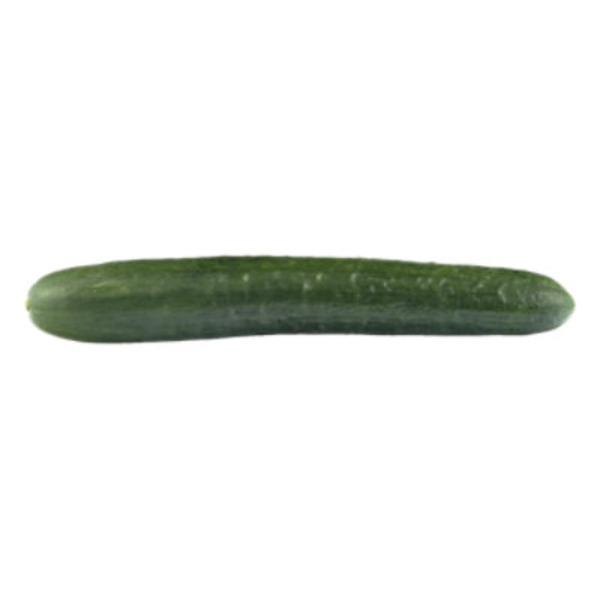 Cucumber Salad