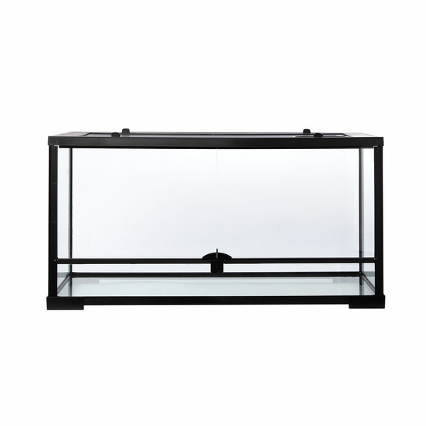 Thrive Open Glass Terrarium