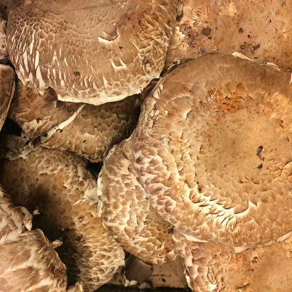 Whole or Sliced Baby Portabella Mushrooms (each) - Instacart