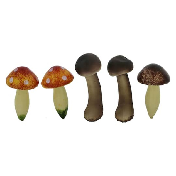 Ashland Brown & Orange Mushroom Mix
