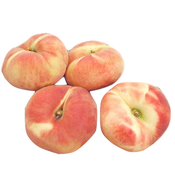 Donut Peach