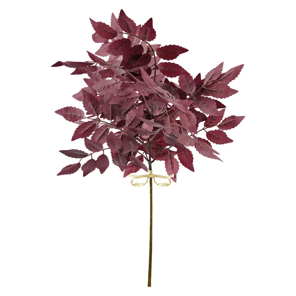 hanging begonia plant Watermelon Begonia (Hanging Plant) – ASHIYANA STORE main image 0