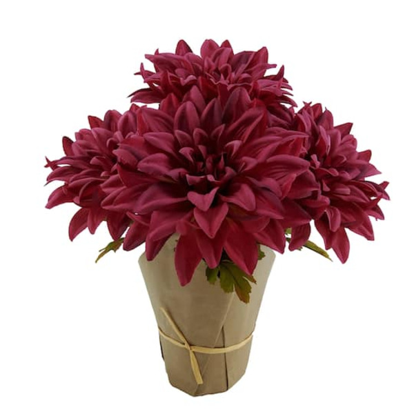Ashland Potted Dahlia