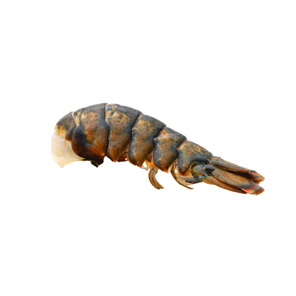 Harris Teeter Lobster Tails SameDay Delivery Instacart