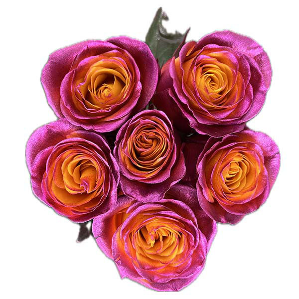 Wegmans Roses Wegmans Wegmans Dyed Roses (6 Stems) Same-Day Delivery or Pickup ...