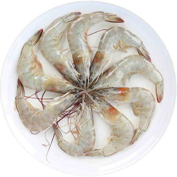 Head-on Shrimp