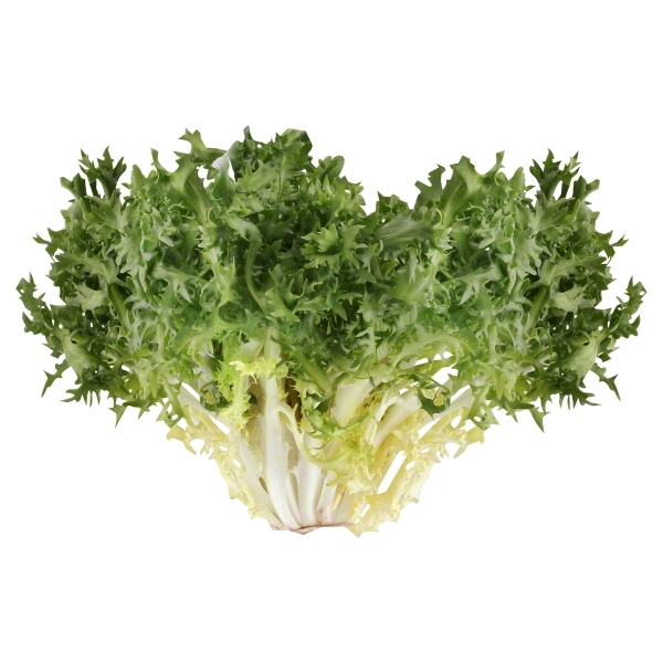 Keystone Endive Produce Endive Same-Day Delivery or Pickup | Harmons