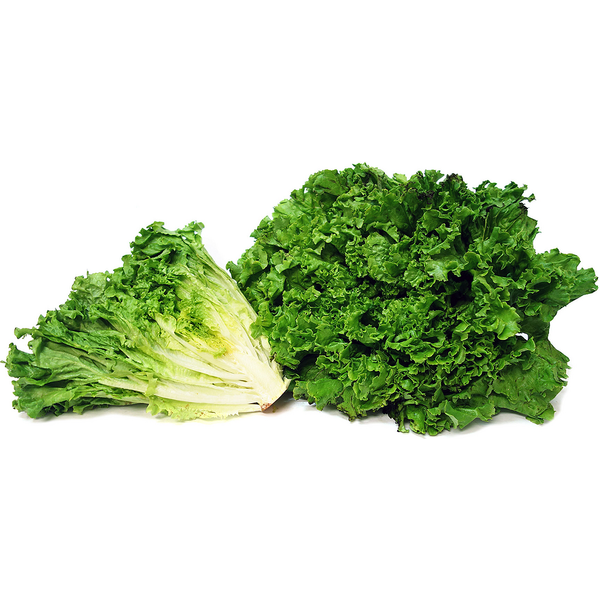 Green Leaf Lettuce - 24 ct