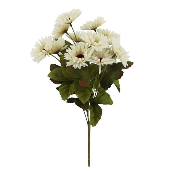 Ashland Toast Daisy Bush