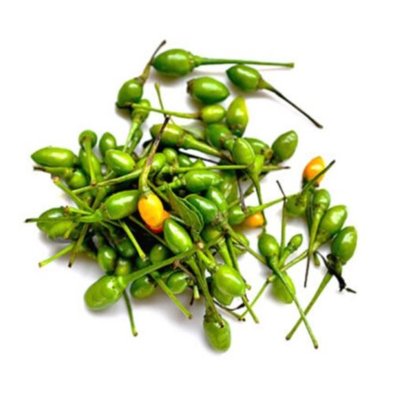 Chiltepe Hot Pepper