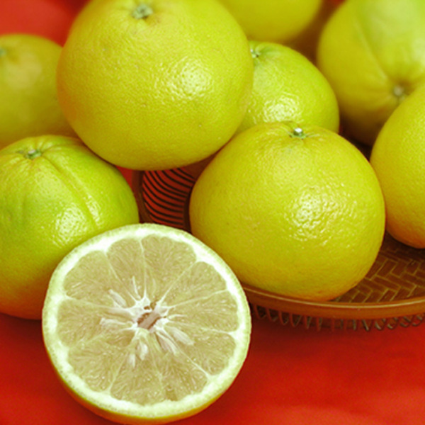 Mandelo (Cocktail Grapefruit)