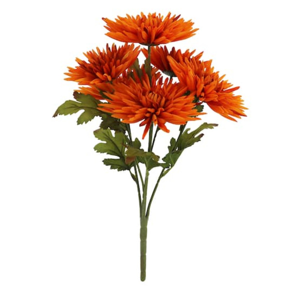 Ashland Daisy Bush - Orange