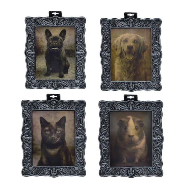Ashland Assorted Pet Lenticular Frame