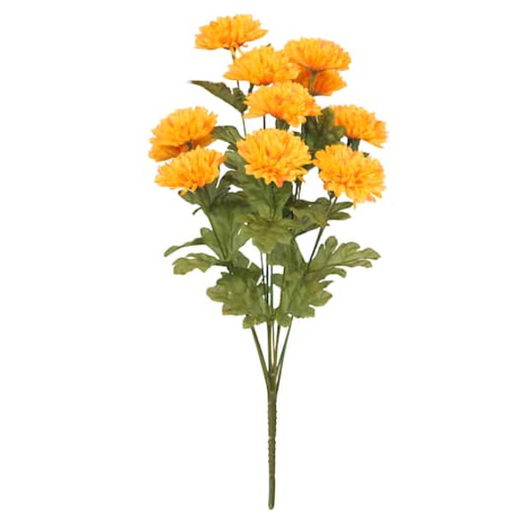 Ashland Ball Mum Bush