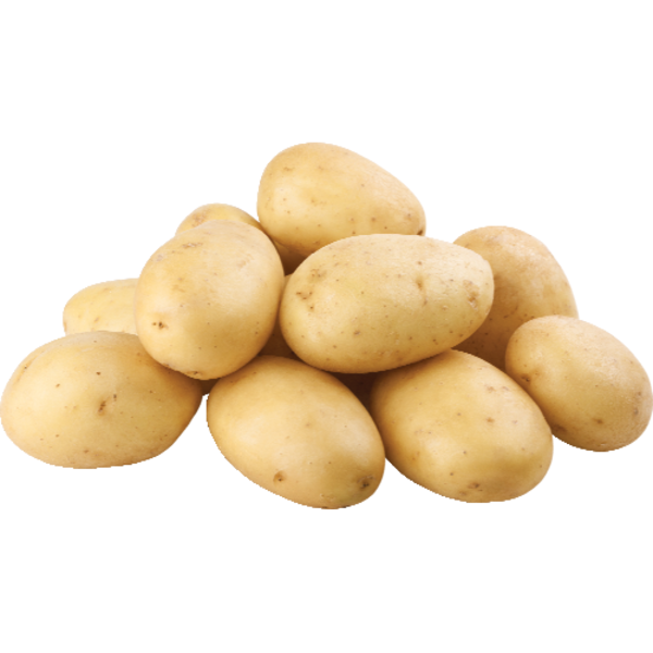 Organic Gold Potatoes