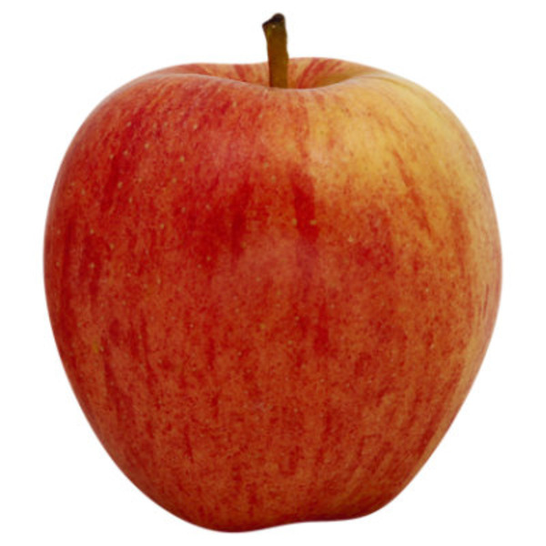 Gala Apples