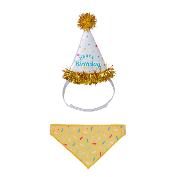 Life of the Party Small Pet Birthday Party Hat & Bandana
