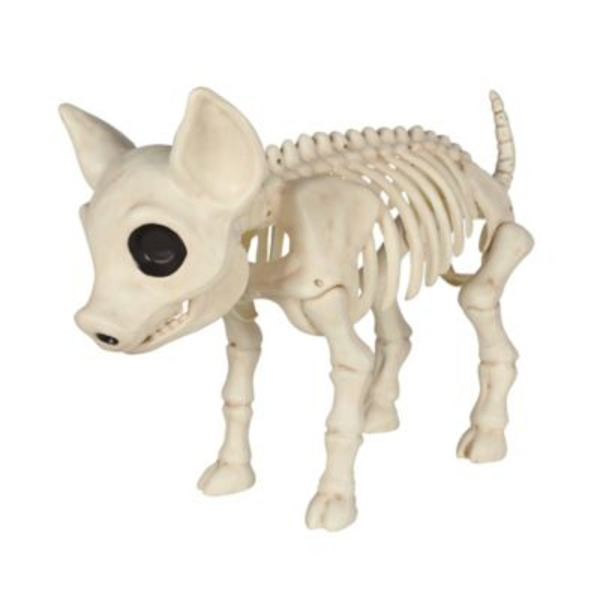 Red Shed Pig Skeleton, Large