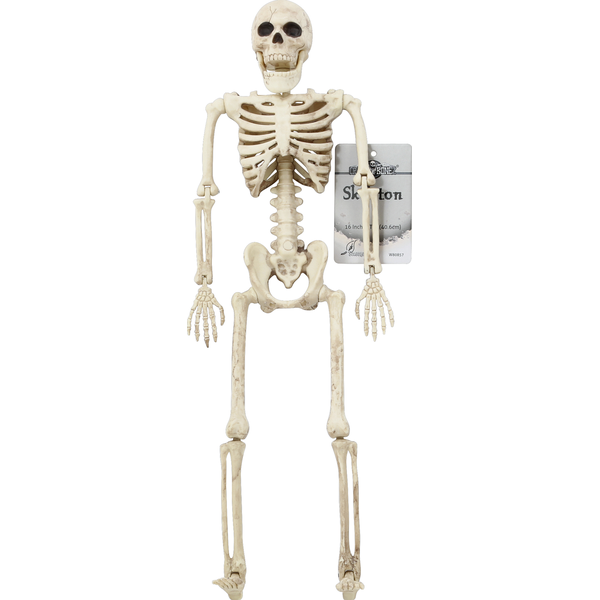 Crazy Bonez Skeleton, 16 Inches Tall Same-Day Delivery | Niemanns