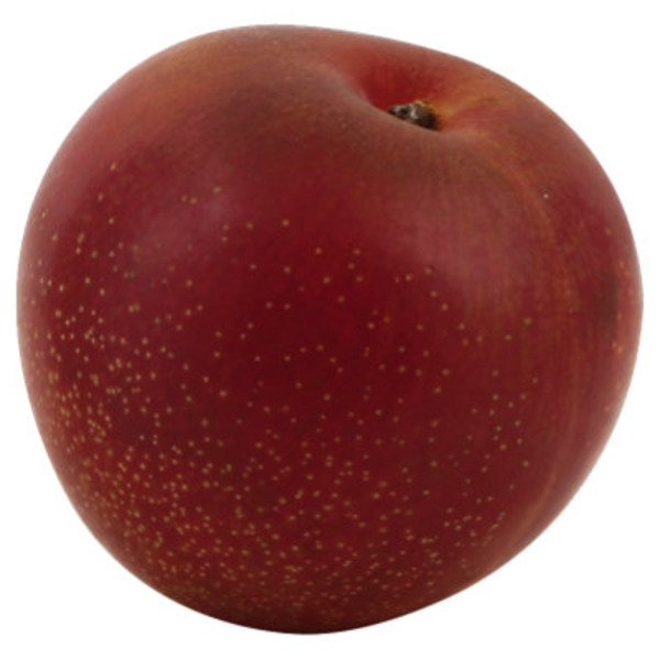 Fresh Eagle Egg Plumcot