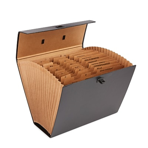 Globe Weis Pocket File, 19 Pocket