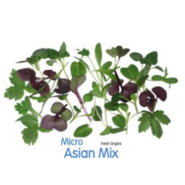Micro Asian Mix - 8 oz