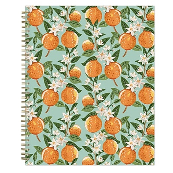 Blue Sky Bespoke Smooth 12 Pocket Oranges Aqua Plastic Portfolio Folder