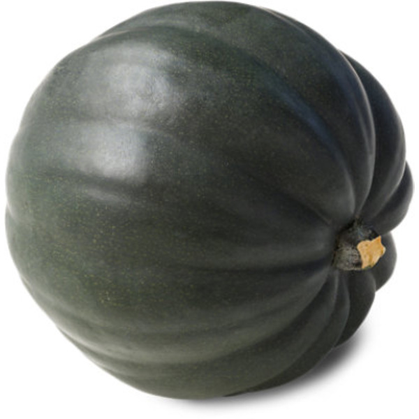 Green Point Acorn Squash