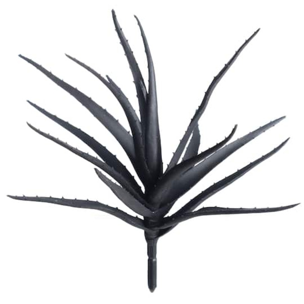 Ashland Black Agave Bush