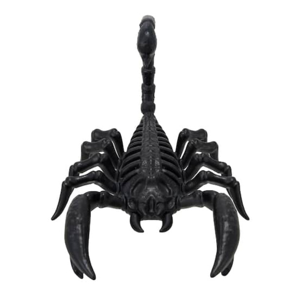 Ashland Scorpion Skeleton
