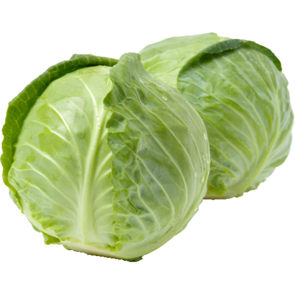 Green Cabbage