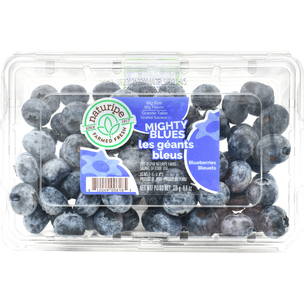 BERRIES-BLUEBERRY 9Z