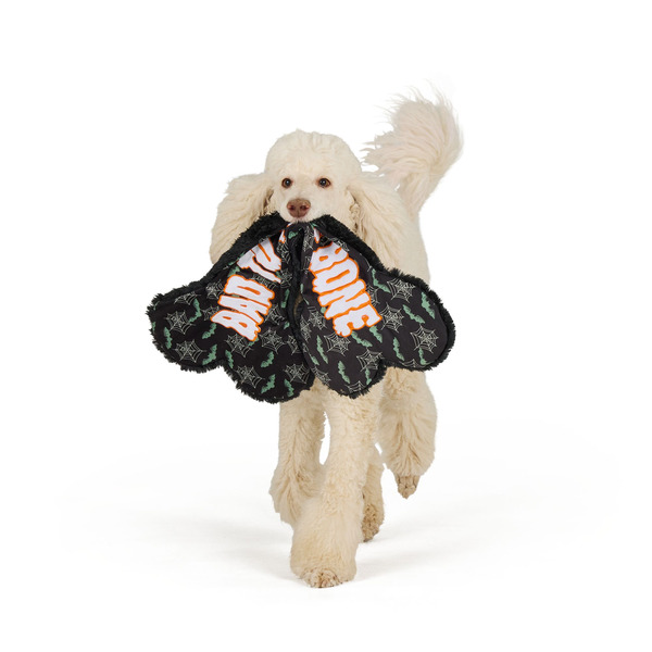 Thrills & Chills Halloween Plush Flattie Bone Dog Toy - Black