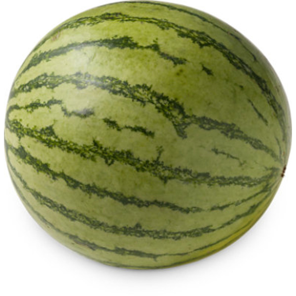 Fresh Organic Personal Melon