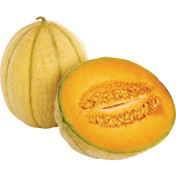Eastern Cantaloupe Melon