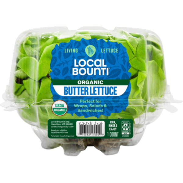 Organic Butter Lettuce