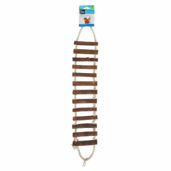 All Living Things Natural Wood Ladder