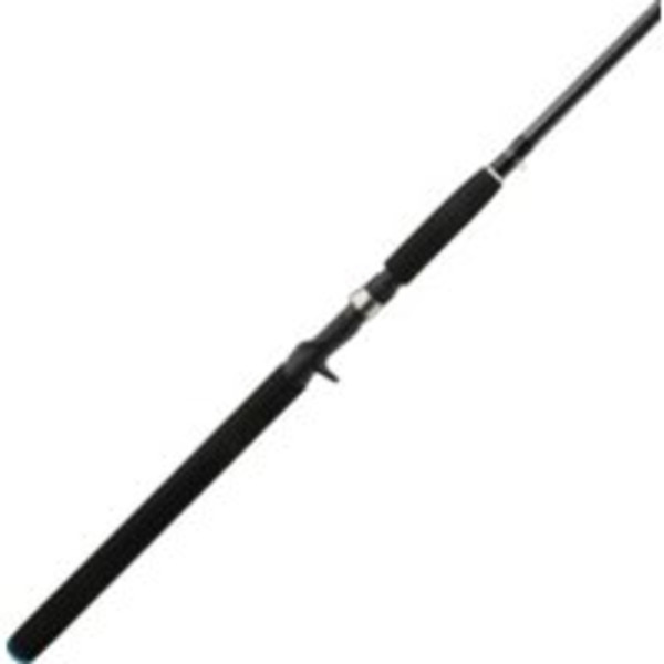 H2OX Angler St Casting Rod